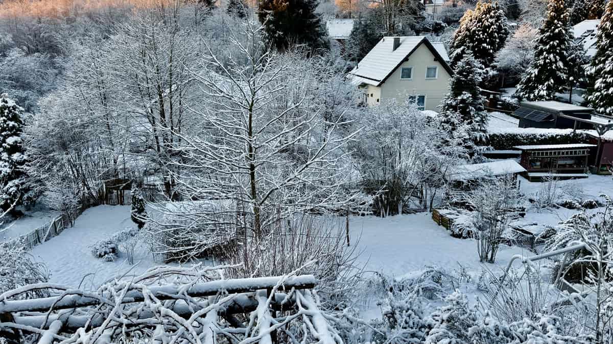 Snow lying on a pitched roof above a winter garden